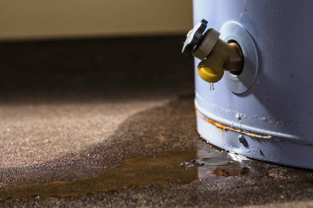 Professional Water damage restoration in Pharr, TX