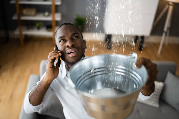 Best Fire Damage Restoration  in Pharr, TX
