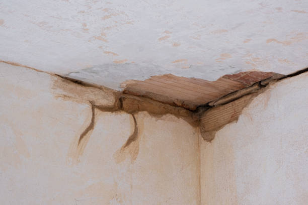 Best Emergency water damage restoration  in Pharr, TX
