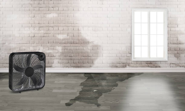 Best Emergency water damage restoration  in Pharr, TX
