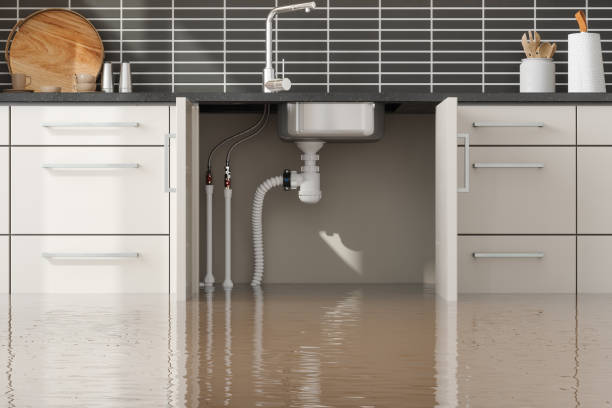 Best Water damage restoration near me  in Pharr, TX