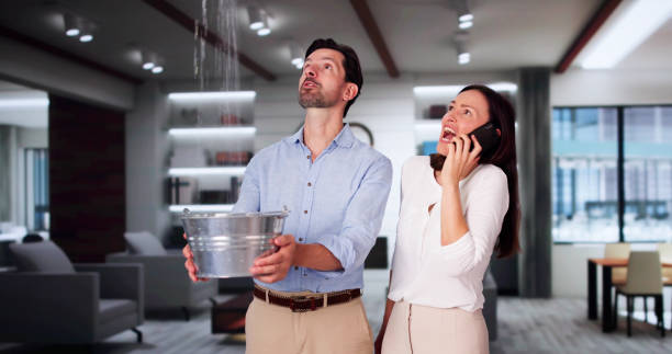 Best Flooded house restoration  in Pharr, TX