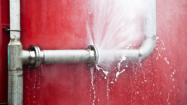 Best Water damage contractors near me  in Pharr, TX